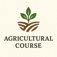 monicahochieng.gnomio.com